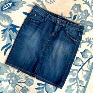 Hudson Jean mini skirt
